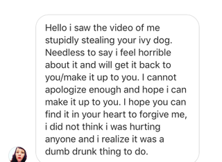 Screenshot courtesy of Kim Vann